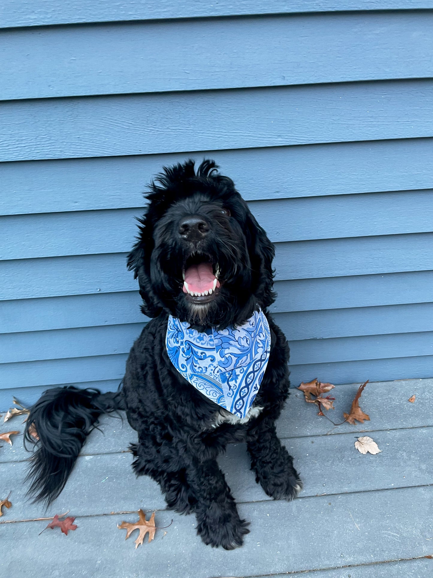 Azulejo Pet Bandana